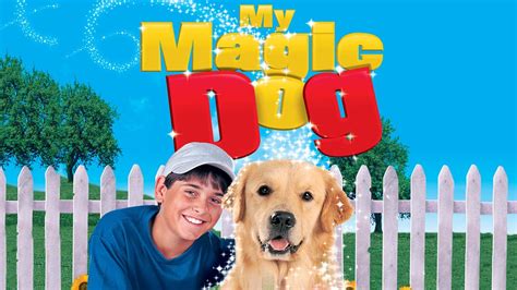 Kupper the dog the magic act